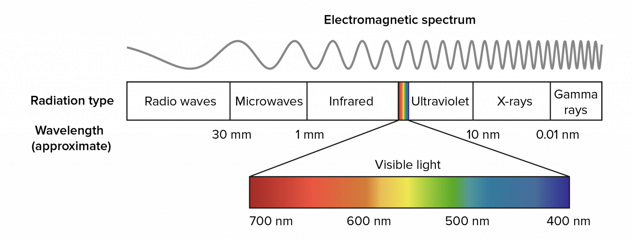 Mosquitoes are attracted to specific colors - GhScientific