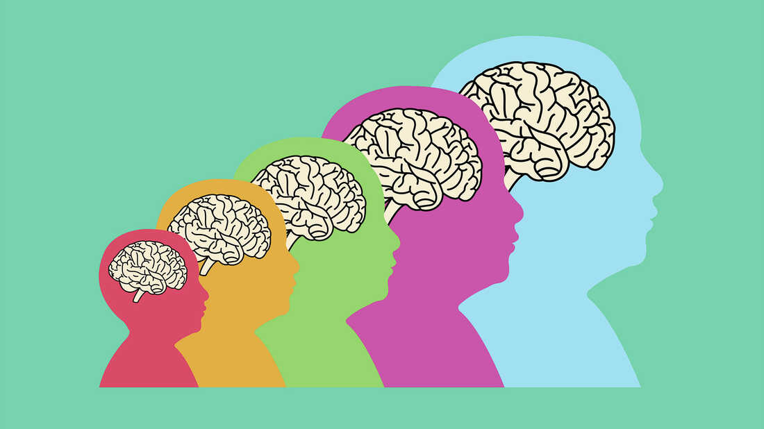 Cognitive Flexibility: How the Brain Learns New Rules to Navigate the ...