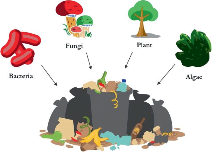 Credit: Ifran et al 2022